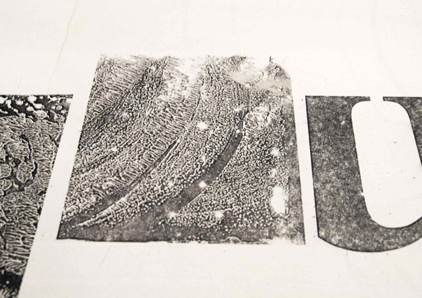 Livia Lima & Jenny Man, Fusion, Lithography, Year 3, 2007, AUT University