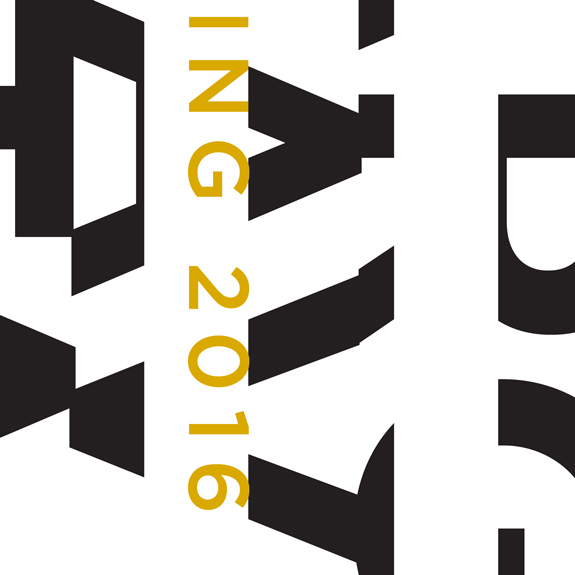 Yi Huo, Modular Structures, Year 2, 2016, SAIC