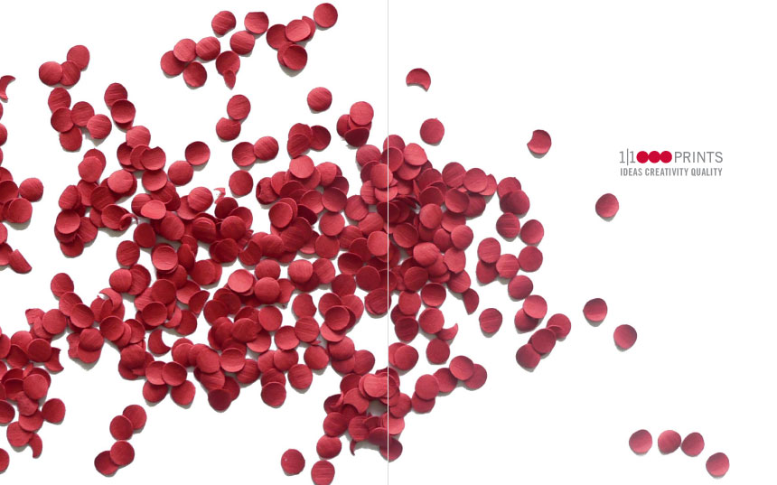 Livia Lima, Standards Manual, Year 2, 2006, AUT University