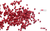 Livia Lima, Standards Manual, Year 2, 2006, AUT University