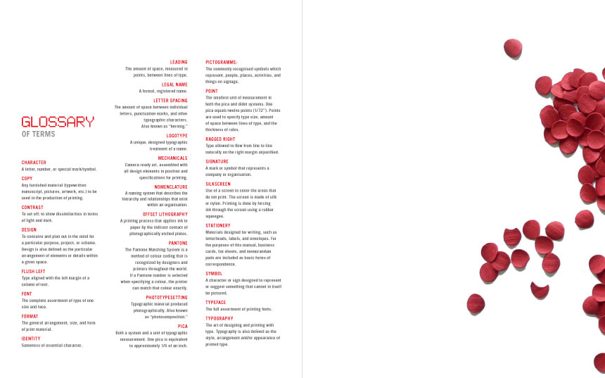 Livia Lima, Standards Manual, Year 2, 2006, AUT University