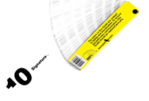 Jenny Man, Standards Manual, Year 2, 2006, AUT University