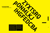 Jenny Man, Standards Manual, Year 2, 2006, AUT University