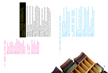 Jenny Man, Standards Manual, Year 2, 2006, AUT University