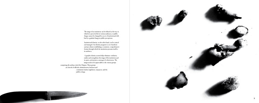 Kim Shen, Standards Manual, Year 2, 2006, AUT University