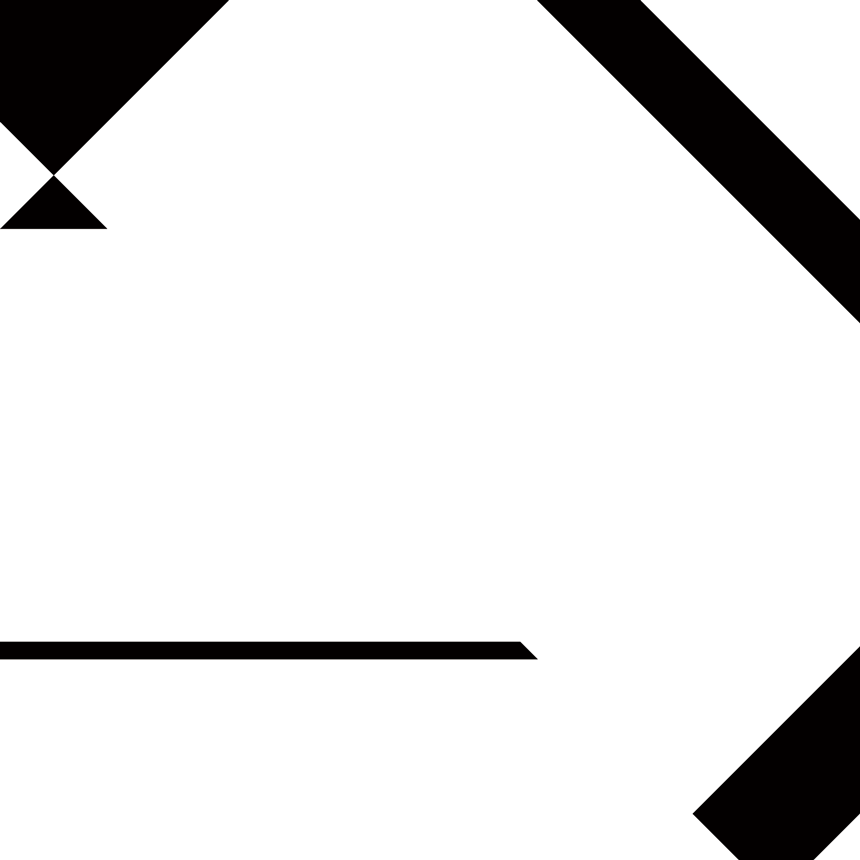 Smith Schwartz, Shapes, Year 1, 2009, SAIC