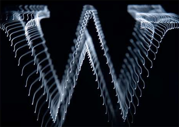 Kathryn Scott, Translation, Year 3, 2005, AUT University