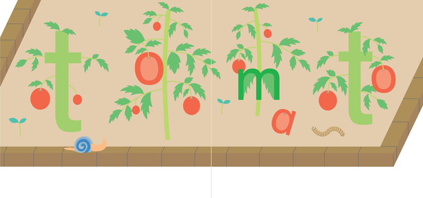 Kanae Tsujita, What Can You Find? Tomato, Year 3, 2004, AUT University